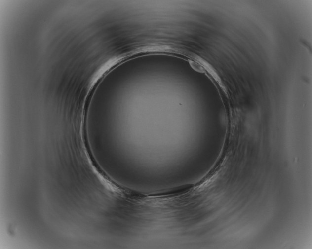 X0000092111245200709121612