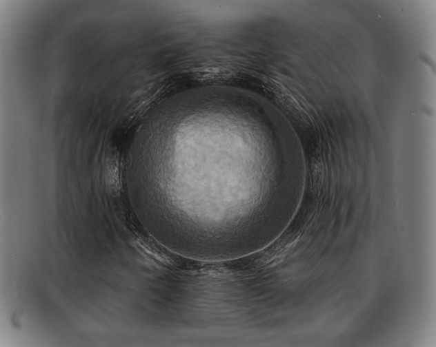 X0000092111250200709121611