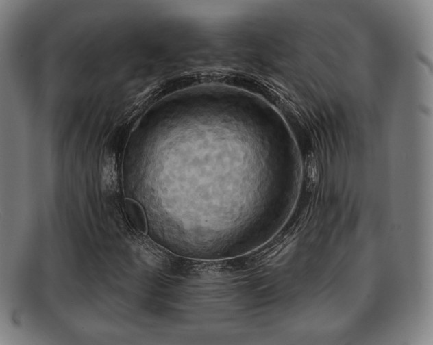 X0000092111252200709121611