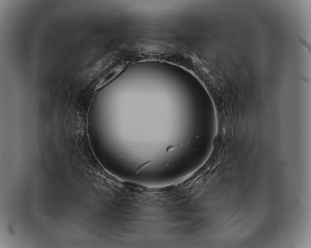 X0000092111253200709121611