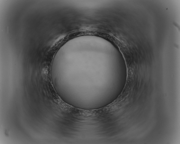 X0000092111254200709121611