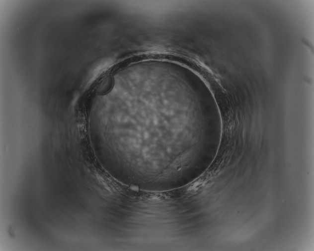 X0000092111255200709121611