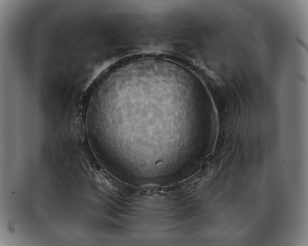 X0000092111256200709121611