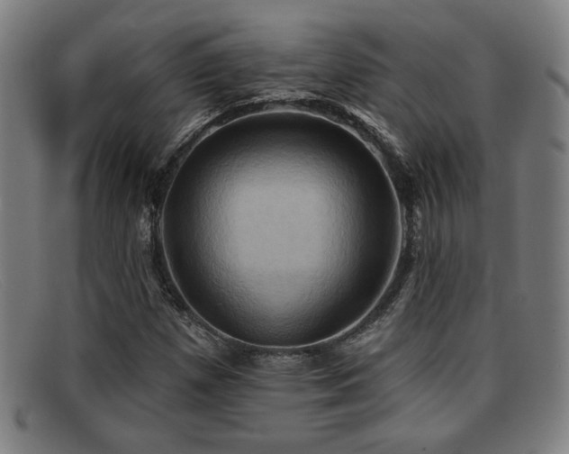 X0000092111257200709121611