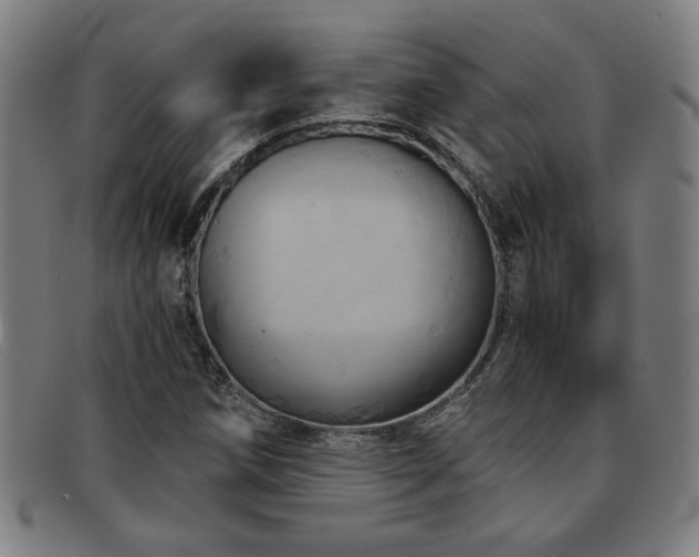 X0000092111258200709121611