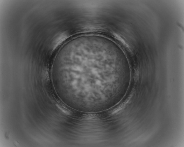 X0000092111259200709121611