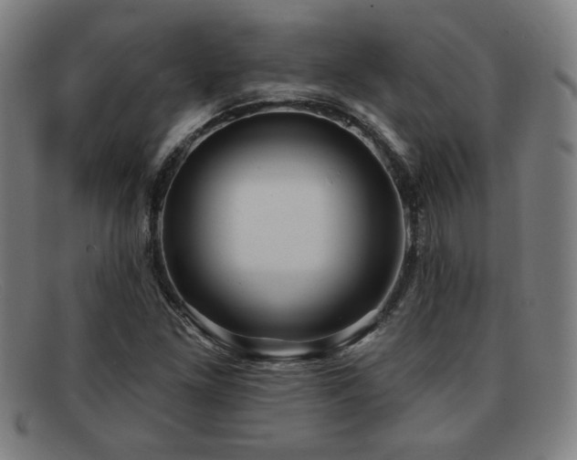 X0000092111261200709121611