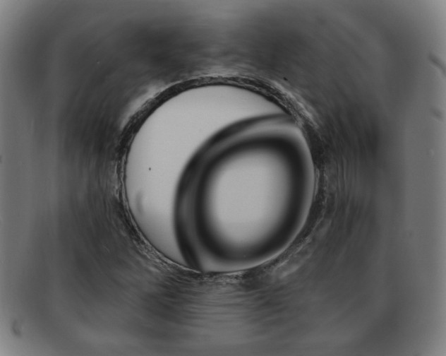 X0000092111262200709121611