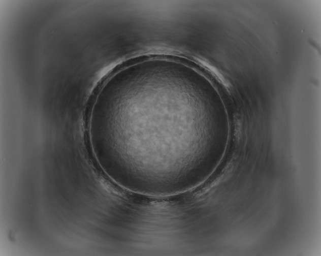 X0000092111264200709121611