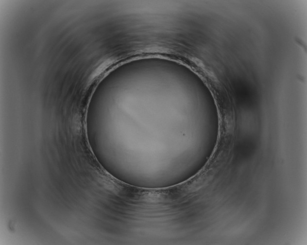 X0000092111266200709121611