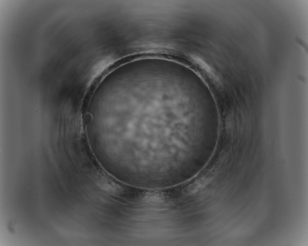 X0000092111267200709121611