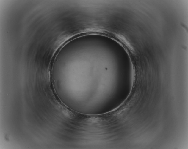 X0000092111268200709121611