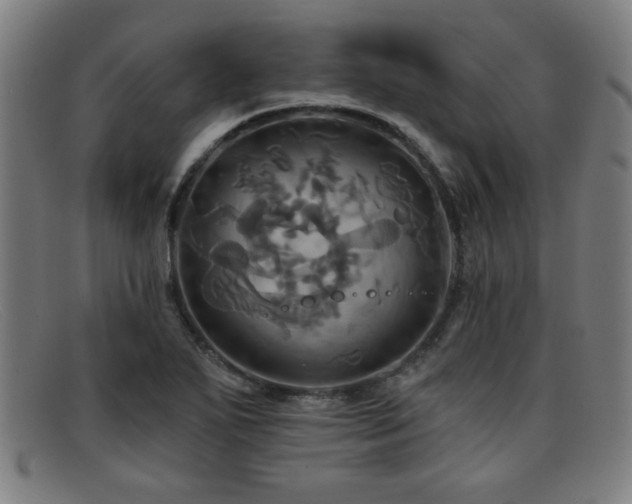 X0000092111271200709121611