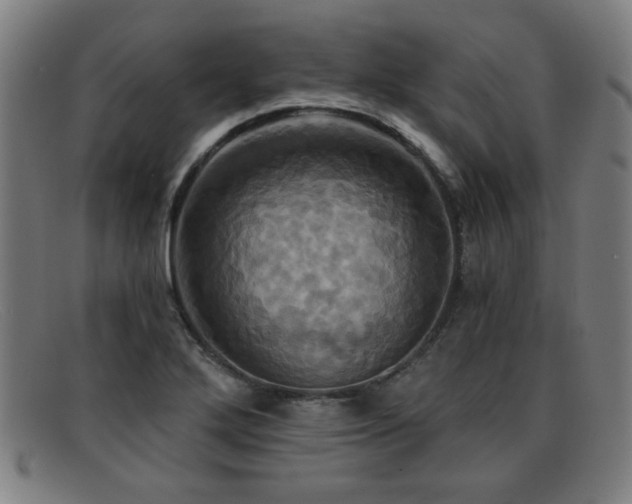 X0000092111272200709121611