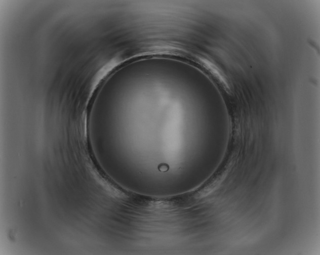 X0000092111275200709121611