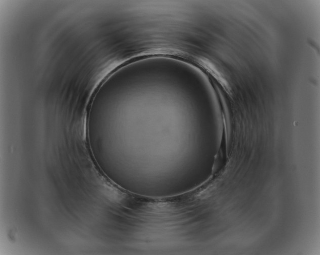 X0000092111276200709121611