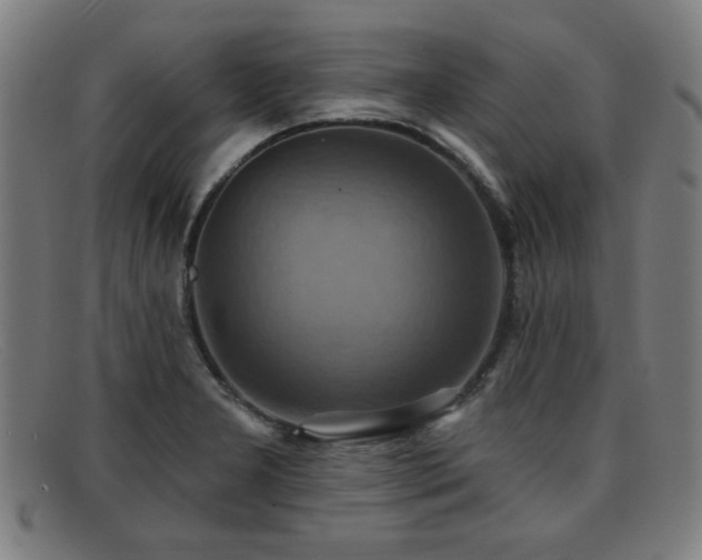 X0000092111277200709121611