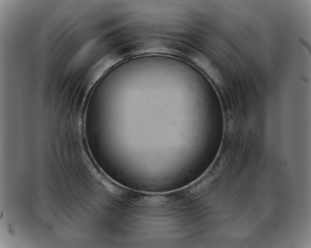 X0000092111282200709121611