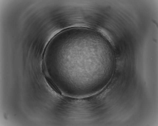 X0000092111284200709121611