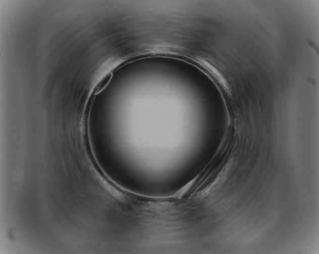 X0000092111285200709121611