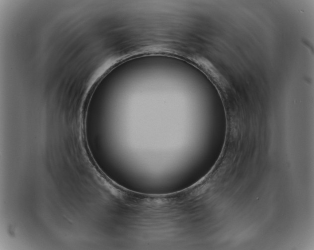 X0000092111286200709121611