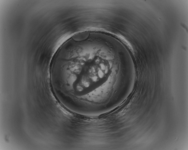 X0000092111287200709121611