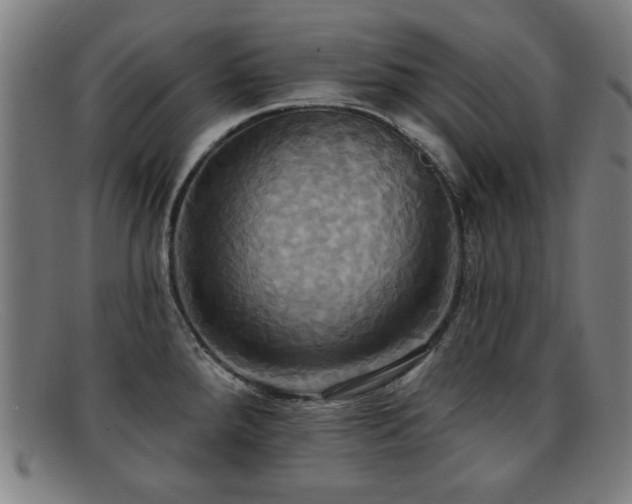 X0000092111288200709121611