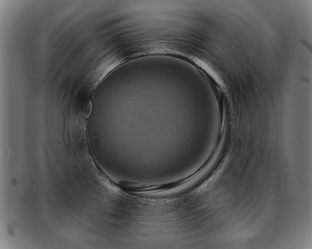 X0000092111289200709121611