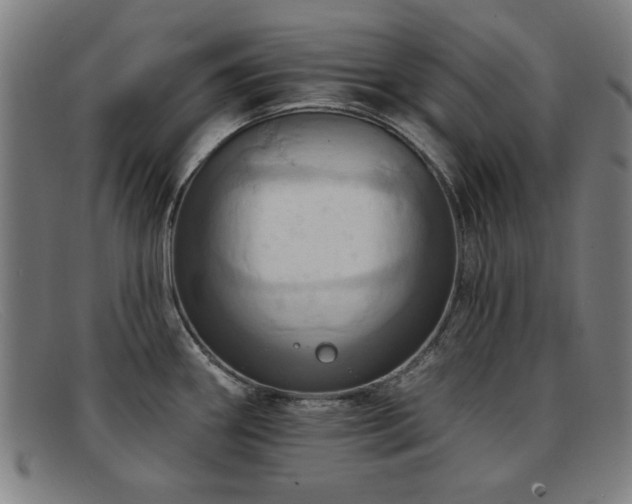 X0000092111290200709121611