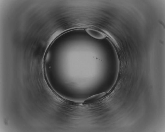 X0000092111291200709121611