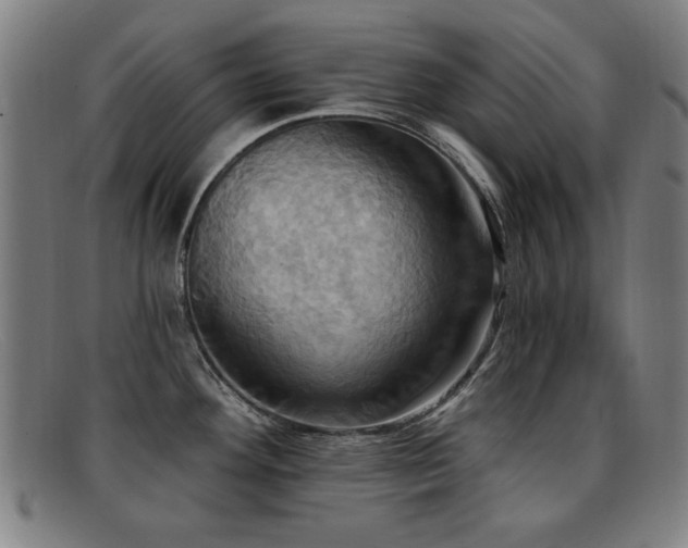 X0000092111292200709121611