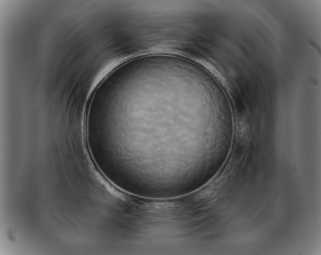 X0000092111294200709121611