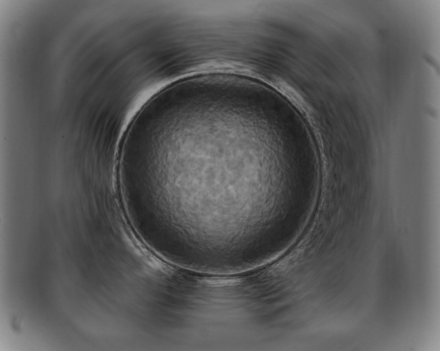 X0000092111296200709121611