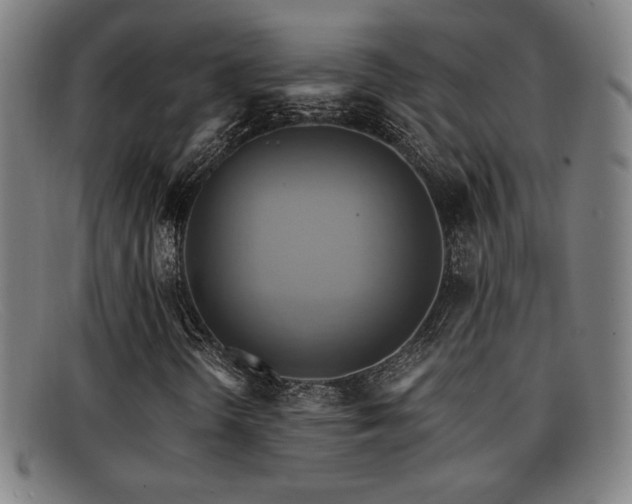 X0000092111298200709121610