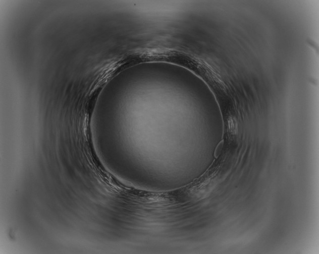 X0000092111300200709121610