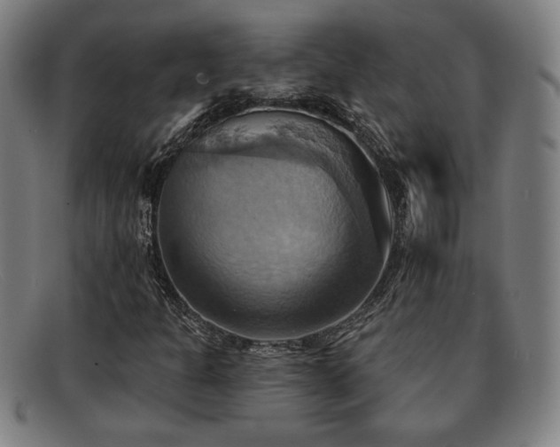 X0000092111301200709121610