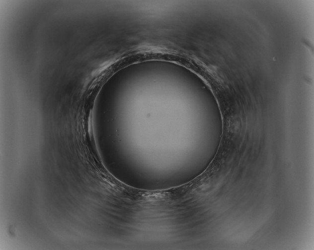 X0000092111303200709121610