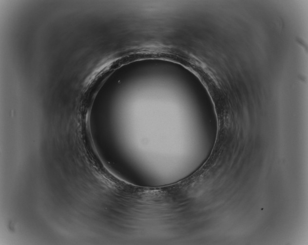 X0000092111304200709121610