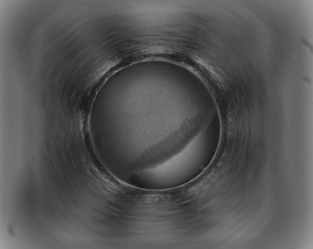 X0000092111305200709121610