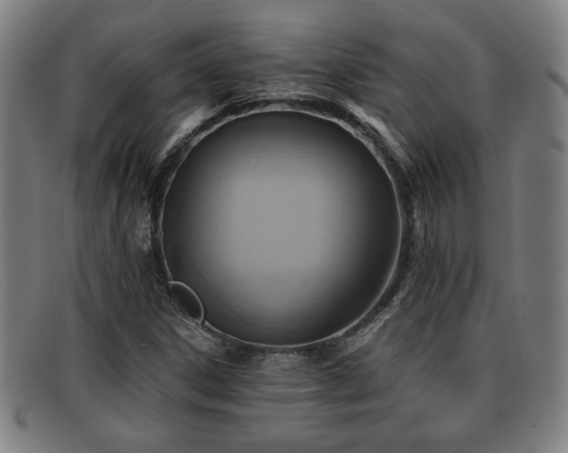 X0000092111306200709121610