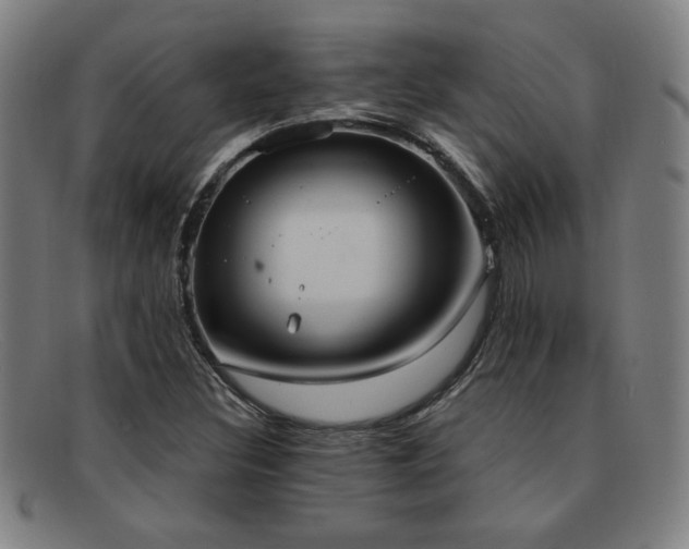 X0000092111308200709121610