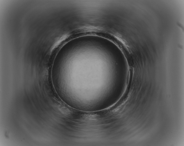 X0000092111309200709121610