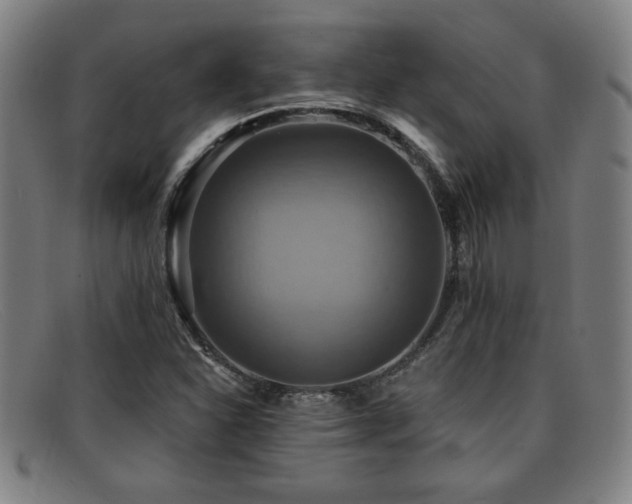 X0000092111310200709121610