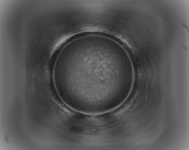 X0000092111311200709121610