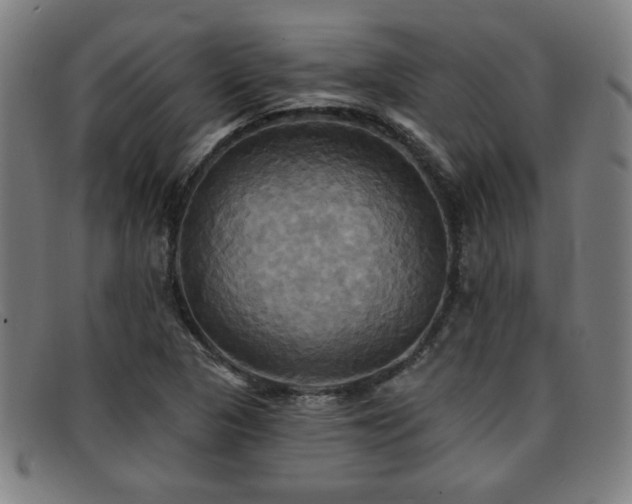 X0000092111313200709121611