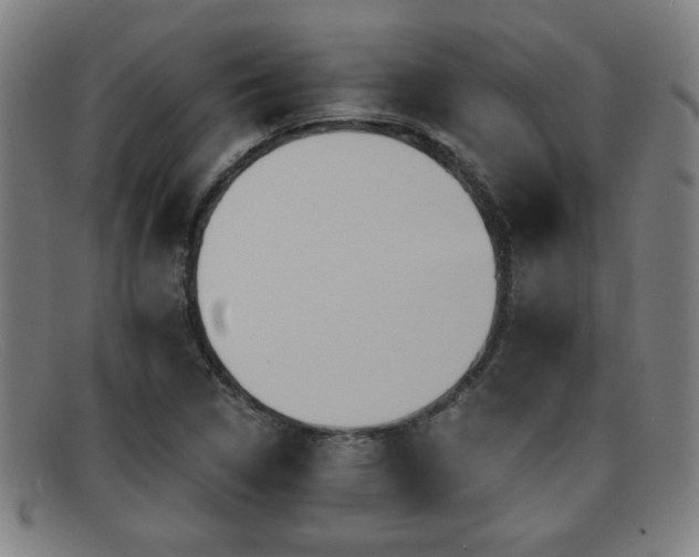 X0000092111314200709121611