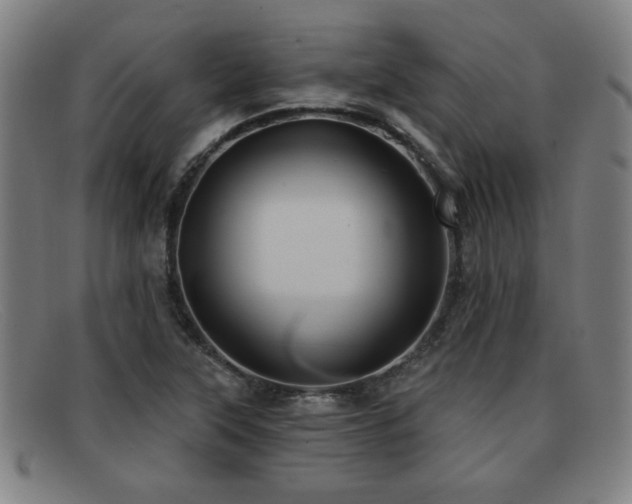 X0000092111315200709121611