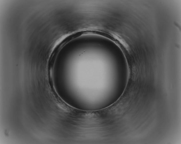 X0000092111316200709121611