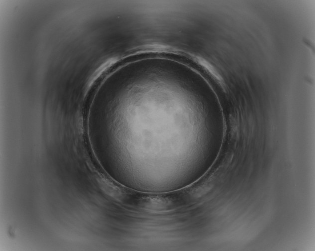 X0000092111318200709121611