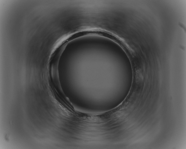 X0000092111319200709121611